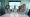 Exploring the Structure of Marketing Hierarchy Job Titles and Roles